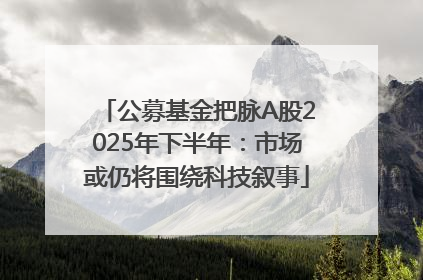 公募基金把脉A股2025年下半年：市场或仍将围绕科技叙事