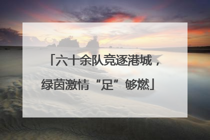 六十余队竞逐港城，绿茵激情“足”够燃