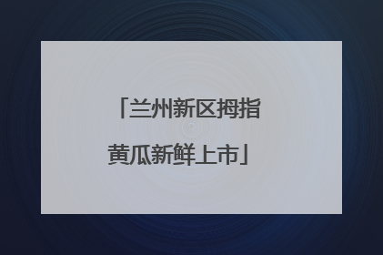 兰州新区拇指黄瓜新鲜上市