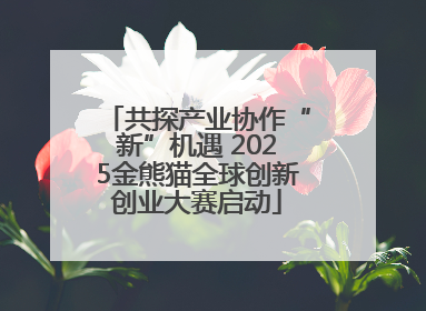 共探产业协作“新”机遇 2025金熊猫全球创新创业大赛启动