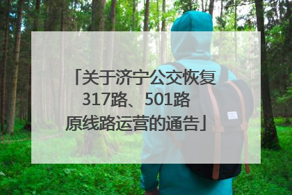 关于济宁公交恢复317路、501路原线路运营的通告