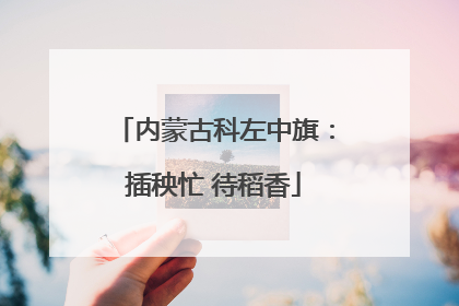 内蒙古科左中旗：插秧忙 待稻香