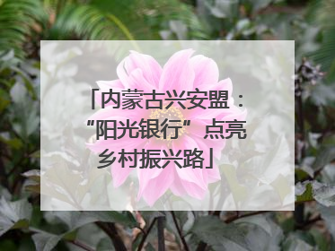 内蒙古兴安盟：“阳光银行”点亮乡村振兴路