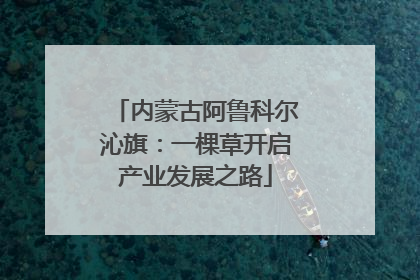 内蒙古阿鲁科尔沁旗：一棵草开启产业发展之路