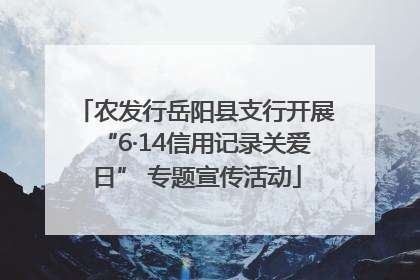 农发行岳阳县支行开展“6·14信用记录关爱日” 专题宣传活动