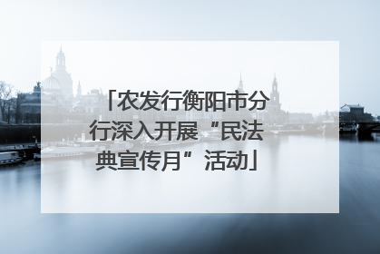 农发行衡阳市分行深入开展“民法典宣传月”活动