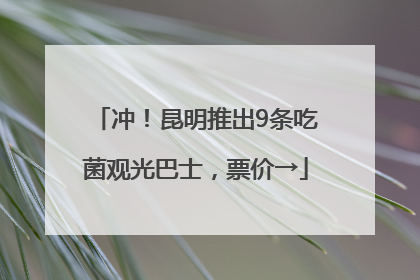 冲！昆明推出9条吃菌观光巴士，票价→