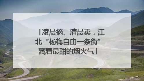 凌晨摘、清晨卖，江北“杨梅自由一条街”藏着最甜的烟火气