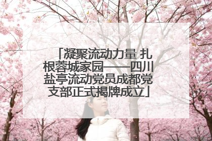 凝聚流动力量 扎根蓉城家园——四川盐亭流动党员成都党支部正式揭牌成立