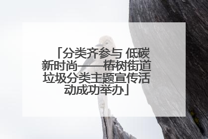 分类齐参与 低碳新时尚——椿树街道垃圾分类主题宣传活动成功举办
