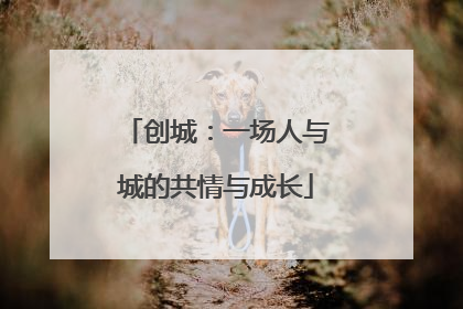 创城：一场人与城的共情与成长