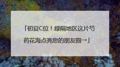 初夏C位！绿隔地区这片芍药花海点亮您的朋友圈→