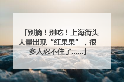 别摘！别吃！上海街头大量出现“红果果”，很多人忍不住了……