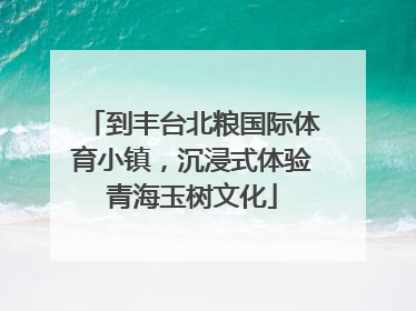 到丰台北粮国际体育小镇，沉浸式体验青海玉树文化