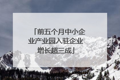 前五个月中小企业产业园入驻企业增长超三成