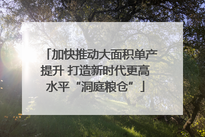 加快推动大面积单产提升 打造新时代更高水平“洞庭粮仓”