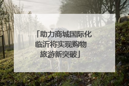 助力商城国际化 临沂将实现购物旅游新突破