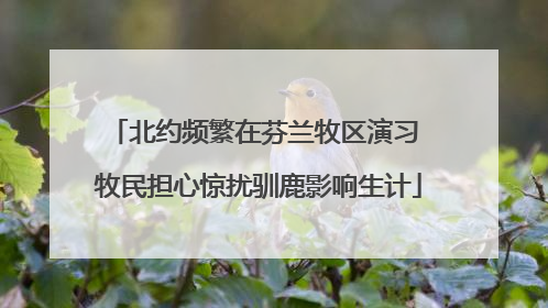 北约频繁在芬兰牧区演习 牧民担心惊扰驯鹿影响生计