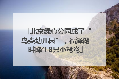 北京绿心公园成了“鸟类幼儿园”，福泽湖畔降生8只小鸳鸯