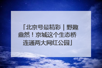 北京号最精彩｜野趣盎然！京城这个生态桥连通两大网红公园