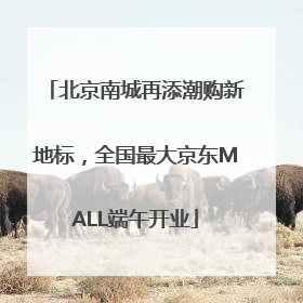 北京南城再添潮购新地标，全国最大京东MALL端午开业