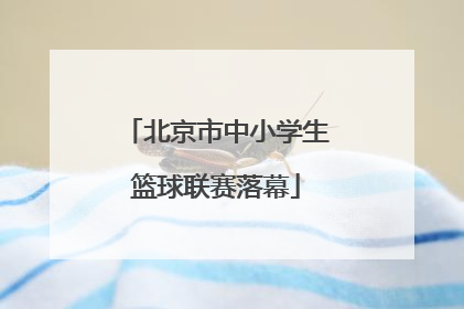 北京市中小学生篮球联赛落幕