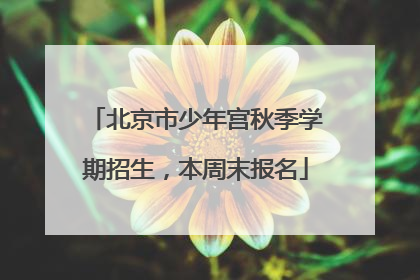北京市少年宫秋季学期招生，本周末报名