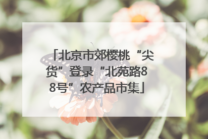 北京市郊樱桃“尖货”登录“北苑路88号”农产品市集