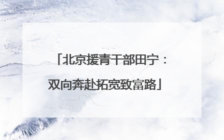 北京援青干部田宁：双向奔赴拓宽致富路