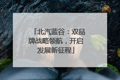 北汽蓝谷：双品牌战略领航，开启发展新征程