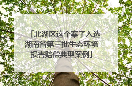 北湖区这个案子入选湖南省第三批生态环境损害赔偿典型案例