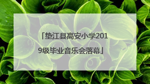 垫江县高安小学2019级毕业音乐会落幕
