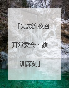 吴忠连夜召开常委会：教训深刻