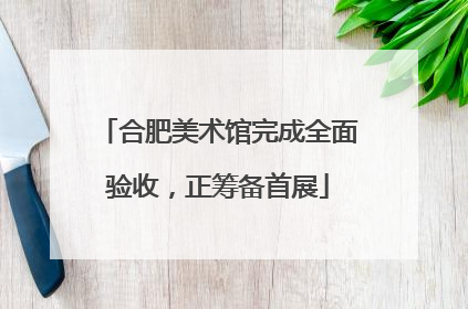 合肥美术馆完成全面验收，正筹备首展