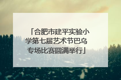 合肥市建平实验小学第七届艺术节巴乌专场比赛圆满举行