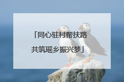 同心驻村帮扶路 共筑瑶乡振兴梦