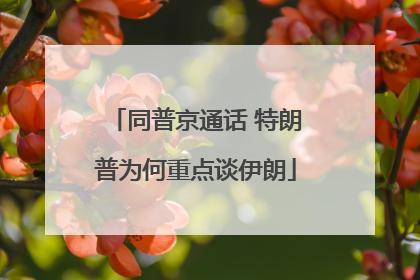 同普京通话 特朗普为何重点谈伊朗