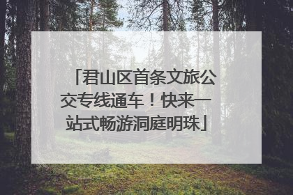 君山区首条文旅公交专线通车！快来一站式畅游洞庭明珠