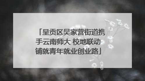 呈贡区吴家营街道携手云南师大 校地联动铺就青年就业创业路