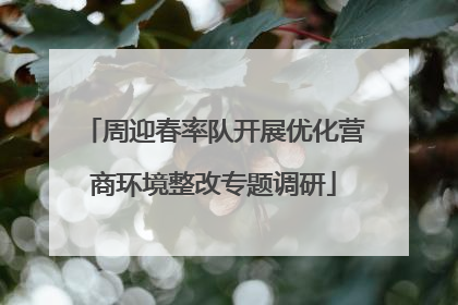 周迎春率队开展优化营商环境整改专题调研