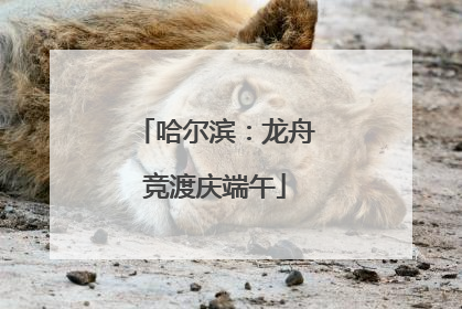 哈尔滨：龙舟竞渡庆端午