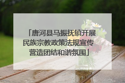 唐河县马振抚镇开展民族宗教政策法规宣传 营造团结和谐氛围