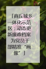 商丘城乡一体化示范区：动态更新廉政档案 为党员干部精准“画像”