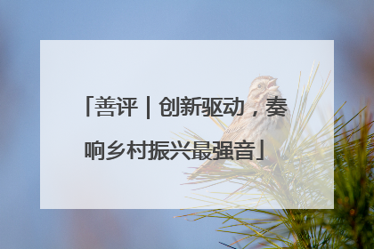 善评｜创新驱动，奏响乡村振兴最强音