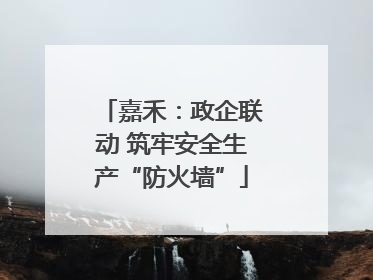 嘉禾：政企联动 筑牢安全生产“防火墙”