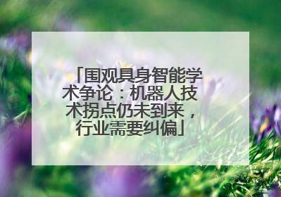 围观具身智能学术争论：机器人技术拐点仍未到来，行业需要纠偏