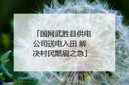 国网武胜县供电公司送电入田 解决村民燃眉之急