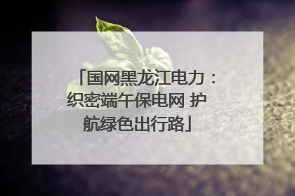 国网黑龙江电力：织密端午保电网 护航绿色出行路