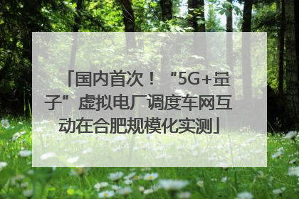 国内首次！“5G+量子”虚拟电厂调度车网互动在合肥规模化实测
