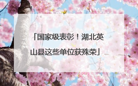 国家级表彰！湖北英山县这些单位获殊荣